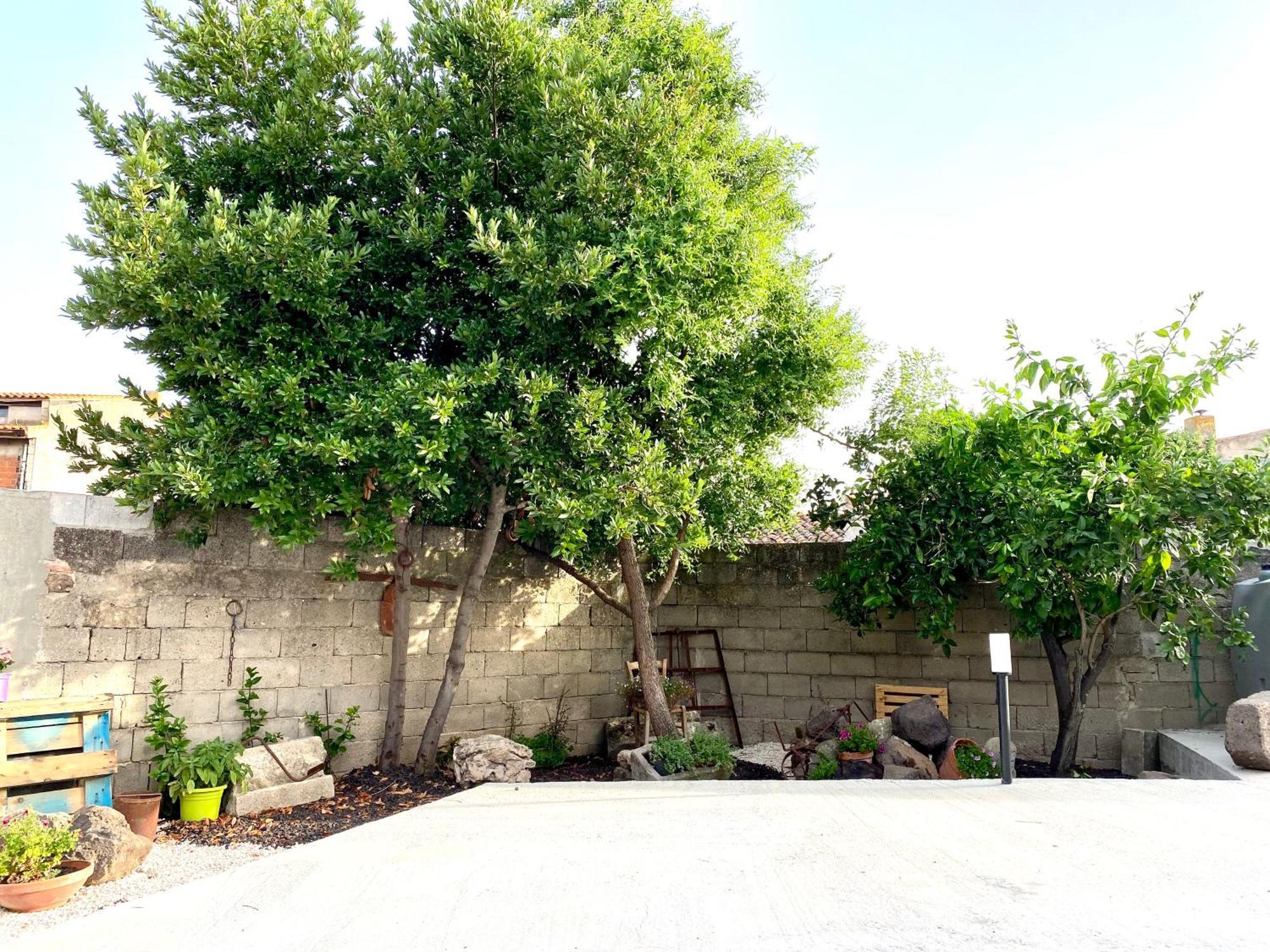 Casa Meli Διαμέρισμα San Vero Milis Εξωτερικό φωτογραφία